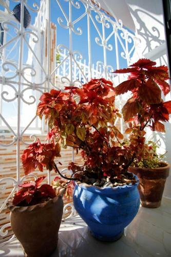 Apartamento Dar Sidi Mfedal