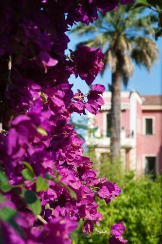 Villa Schuler Taormina Garden Suite In Self-catering