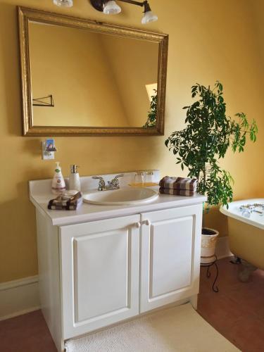 Bed & Breakfast At Wit's Inn