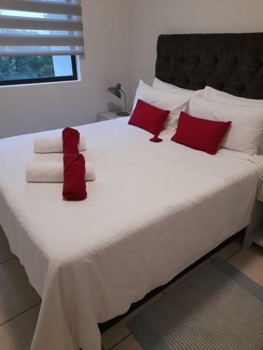 Lovely 1 Bedroom Apartment