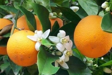 A Casa Di Gio': Tra Charme E Relax