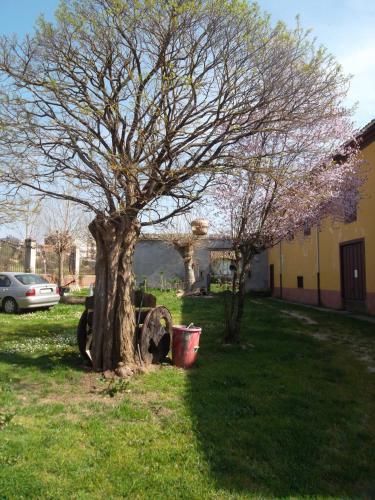 Hostal Molinos De Antero