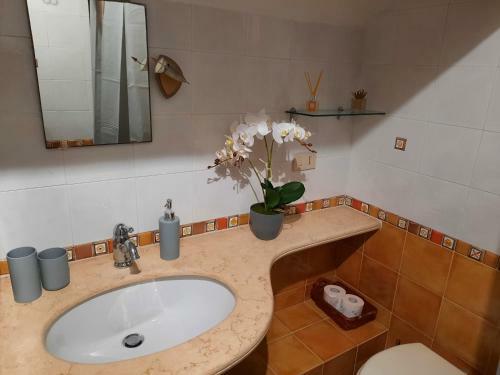 Apartamento Casa Vacanze Da Zaz�