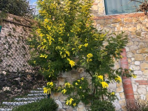 B&B Alle Scalette