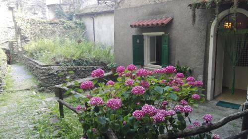 Apartamento Casa Nemo