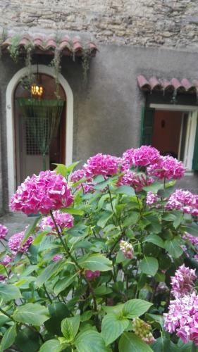 Apartamento Casa Nemo