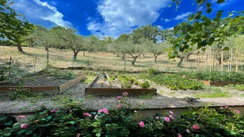 Spoleto Enchantedexc Pool, Gardens Villaaircon 3