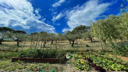 Spoleto Enchantedexc Pool, Gardens Villaaircon 3