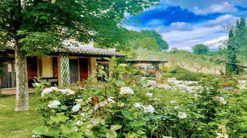 Spoleto Enchantedexc Pool, Gardens Villaaircon 3