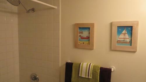 Executive Underground Apartment