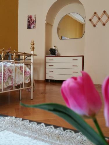 Bed & Breakfast Guerrero Rooms