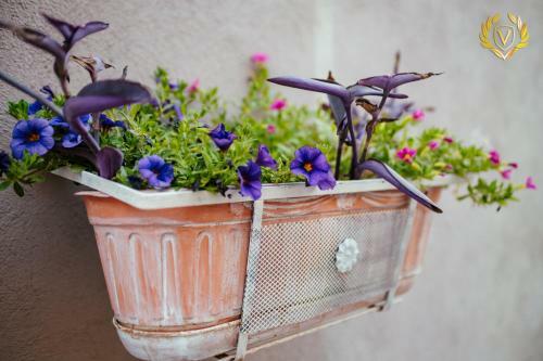 Venusuite Venosa - Luxury House & Relax -