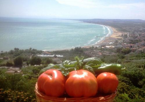 La Casa Di Nonna Clo, Nel Centro Di Vasto