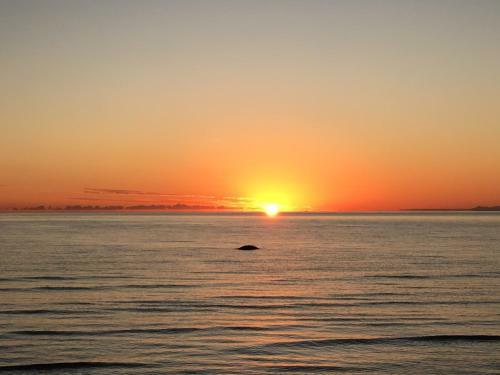 Apartment Near The Italian Sea
