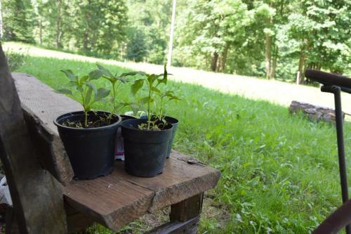 Agroturismo Countryrooms Valchiusella
