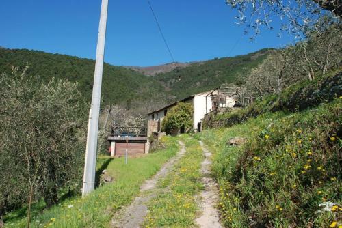 Apartamento Casa Rurale Selvadolivo