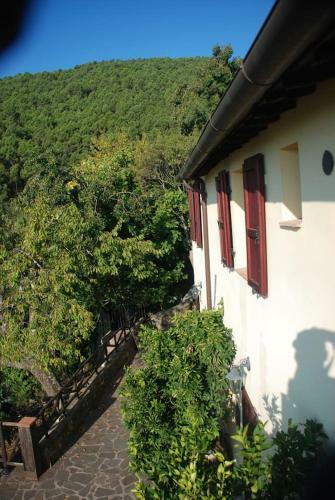 Apartamento Casa Rurale Selvadolivo