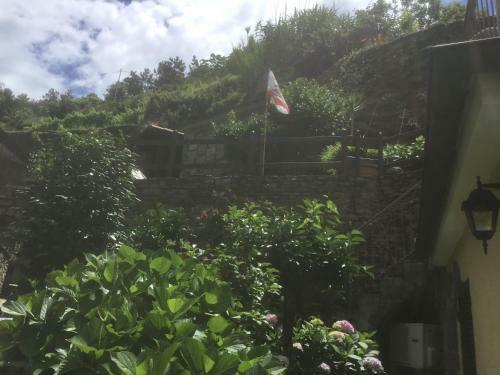 Hostal Camere Giuliano Basso