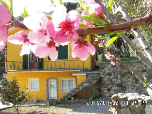 Bed & Breakfast Agriturismo Costa Di Campo