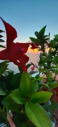 Bella Vista House-sorrento Coast