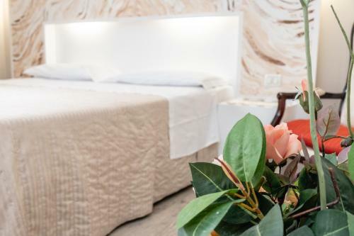 B&B Accademia