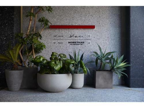 Hotel The Knot Hiroshima - Vacation Stay 48542v