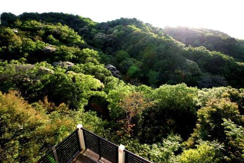 Nishimuro-gun - House - Vacation Stay 11244