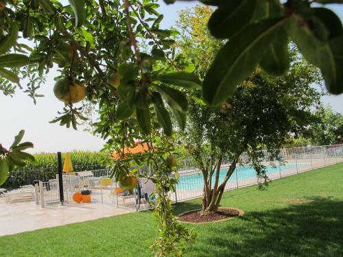 Agroturismo Agriturismo Bortolino