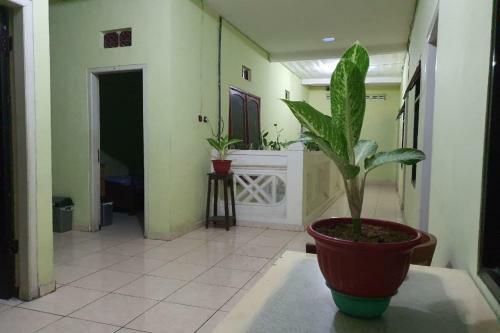 Hostal Hotel Melati Simpang Tiga Asri