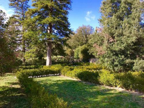 Bed & Breakfast Villa Sant'anastasio Luxury Agriturismo