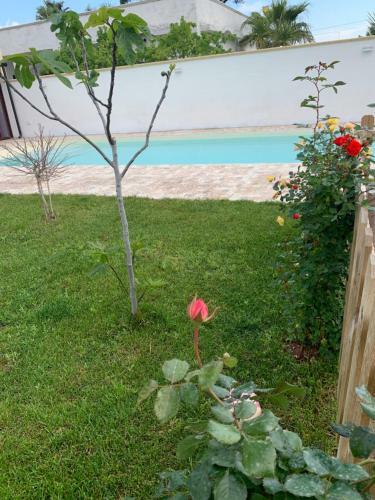 Appartamento In Villa Con Piscina A 700m Dal Mare