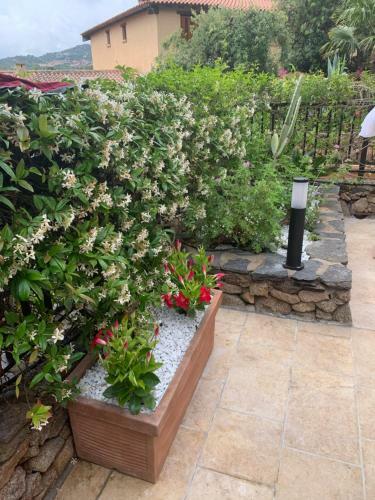 Apartamento Appartamento Porto Rotondo Rudargia