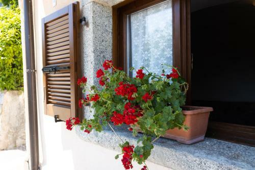 Apartamento Ap. Lancillotto - Lago Di Garda