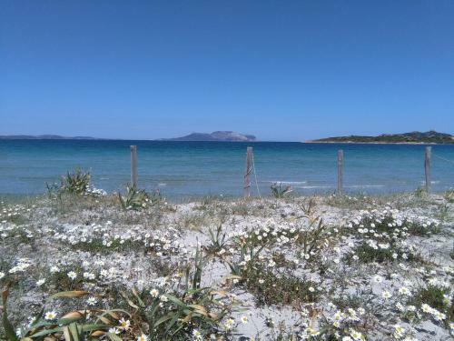 Apartamento Residenza Le Maree