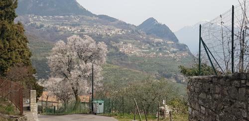 Apartamento Appartamento Annarosa Al Poggio