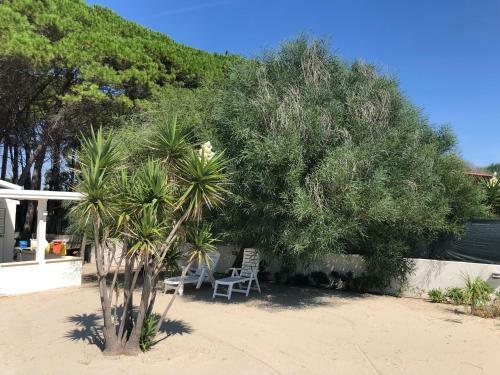 Residence Giglio Di Mare 1 -sellia Marina