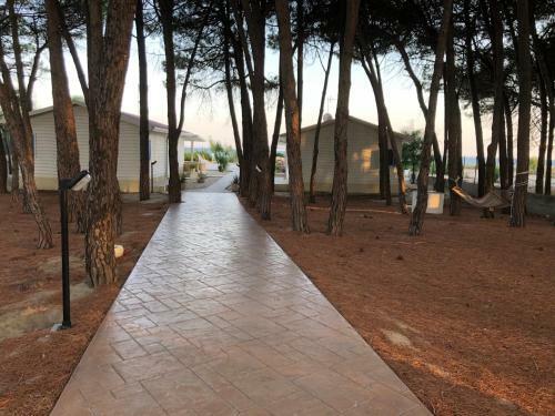 Residence Giglio Di Mare 1 -sellia Marina
