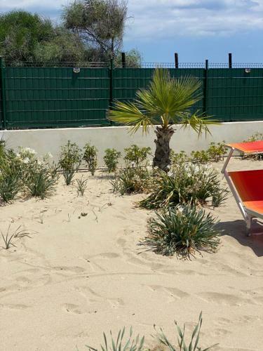 Residence Giglio Di Mare 1 -sellia Marina