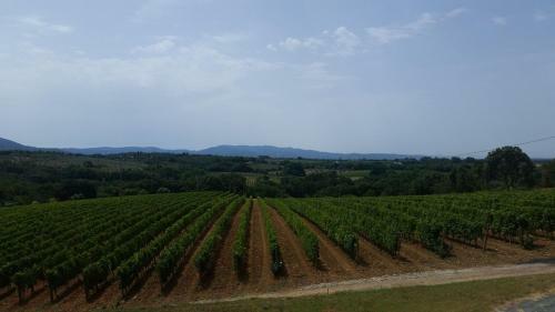 Apartamento Podere Serena Appartamento David