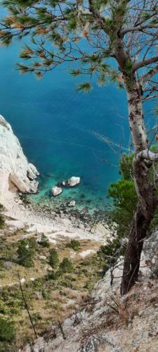 Apartamento Appartamento Sulla Riviera Del Conero