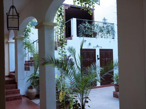 Hotel Val De Pinares