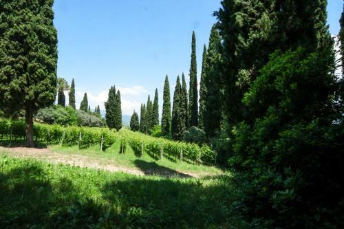 Apartamento Villa Betteloni Valpolicella Suites