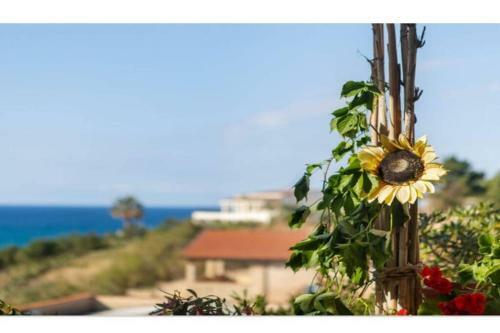 Casa Vacanza Violisa