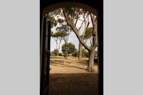 Casale Alessandra, Villa Storica Della Maremma