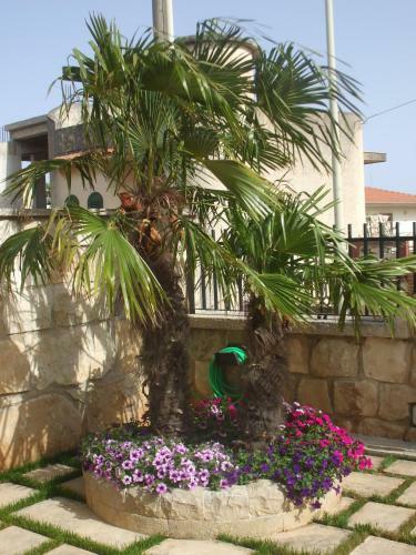 Apartamento Appartamento Accogliente Vicino Al Mare