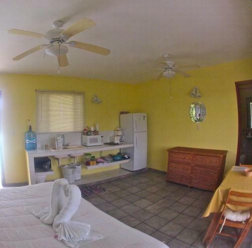 Hotel Sea Hawk Suites