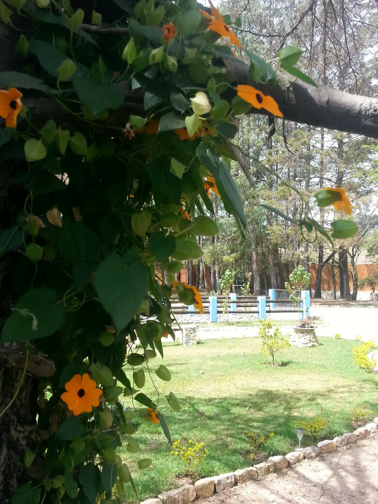 Hotel Hacienda Club La Diligencia