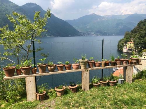 Gli Orti Della Civera " Cottagecore" Amazing View