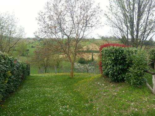 Casa Intera Tra Le Colline E Le Vigne Del Dolcetto