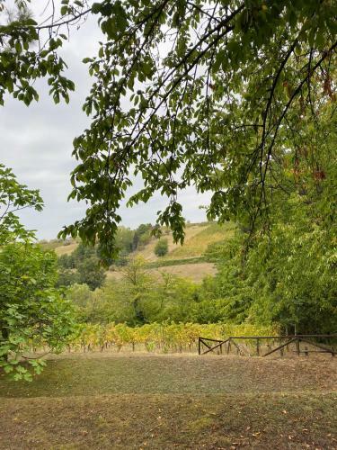Casa Intera Tra Le Colline E Le Vigne Del Dolcetto